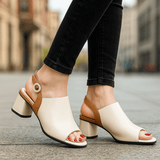 Talons Icon Emilia